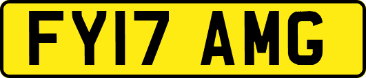 FY17AMG