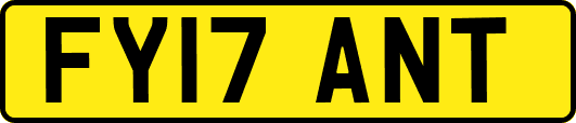 FY17ANT