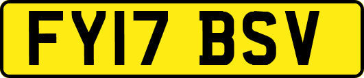 FY17BSV