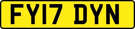 FY17DYN
