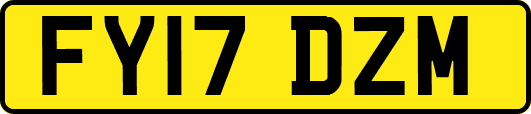 FY17DZM
