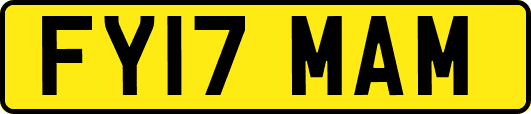 FY17MAM