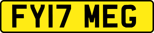 FY17MEG