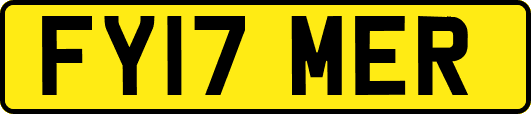 FY17MER