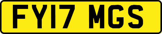 FY17MGS
