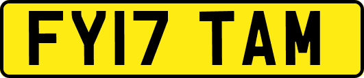 FY17TAM