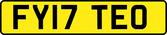 FY17TEO