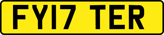 FY17TER