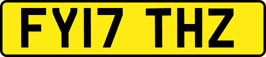 FY17THZ