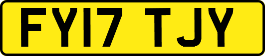 FY17TJY