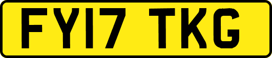 FY17TKG