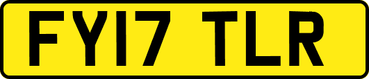 FY17TLR