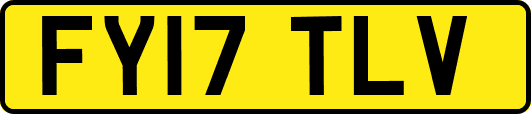 FY17TLV