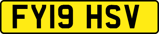 FY19HSV