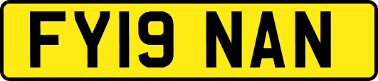 FY19NAN