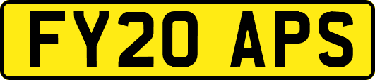 FY20APS