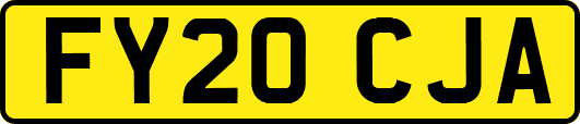 FY20CJA