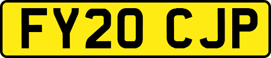 FY20CJP