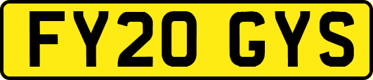 FY20GYS