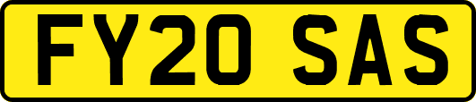 FY20SAS