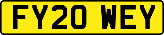FY20WEY