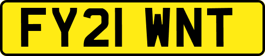 FY21WNT