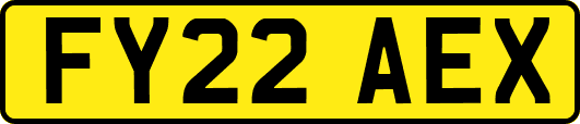 FY22AEX