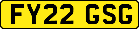 FY22GSG