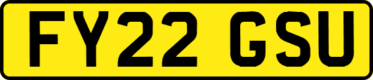 FY22GSU