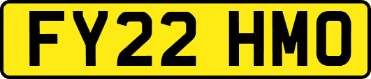 FY22HMO