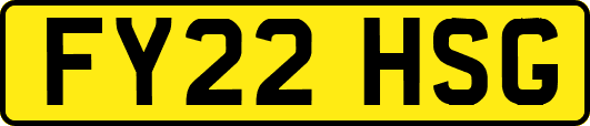 FY22HSG