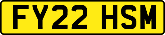 FY22HSM