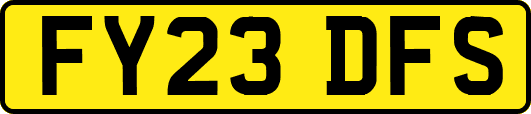 FY23DFS