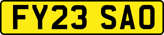 FY23SAO