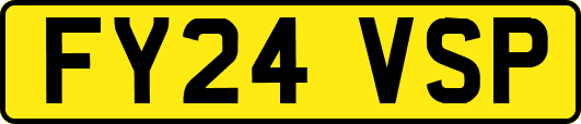 FY24VSP