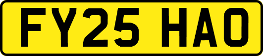 FY25HAO