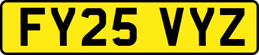 FY25VYZ