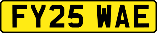 FY25WAE