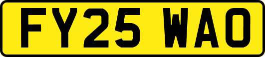 FY25WAO