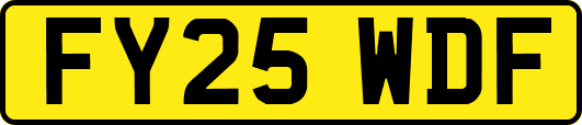 FY25WDF