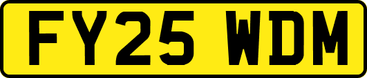FY25WDM