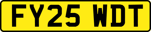 FY25WDT