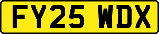 FY25WDX