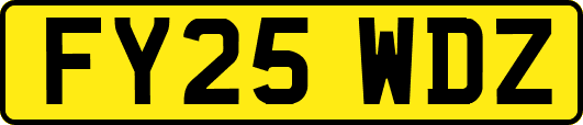 FY25WDZ