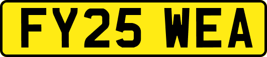 FY25WEA