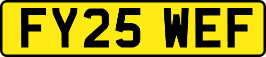 FY25WEF