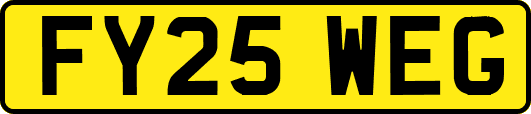 FY25WEG