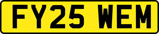 FY25WEM