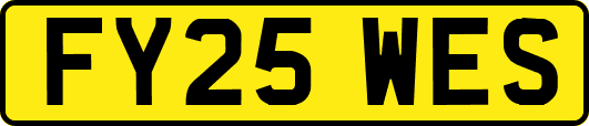 FY25WES