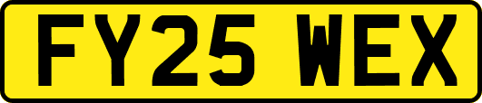 FY25WEX